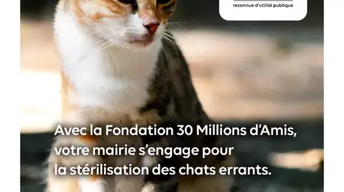 Avec la Fondation 30 Millions d’Amis, votre mairie s’engage pour la stérilisation des chats errants.